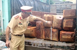 Liên tiếp bắt giữ các vụ vận chuyển gỗ lậu